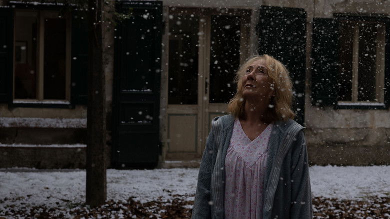 кадр из фильма Сан-Ремо