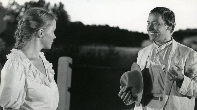 кадр из фильма Искатель приключений