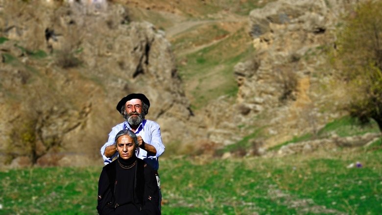 кадр из фильма سرتە لەگەڵ با