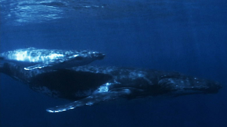 кадр из фильма At the Edge of the World