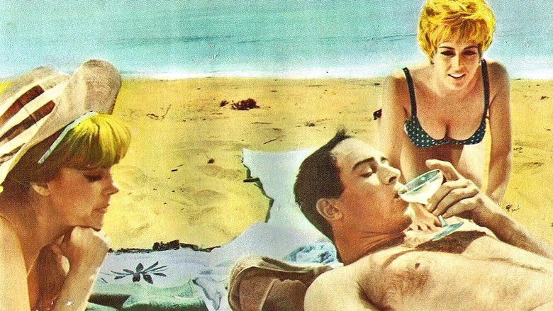 кадр из фильма A Man Called Dagger