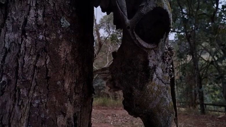 кадр из фильма Morto-vivo