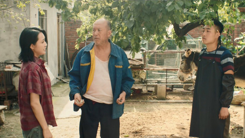 кадр из фильма 毛驴上树2：倔驴搬家