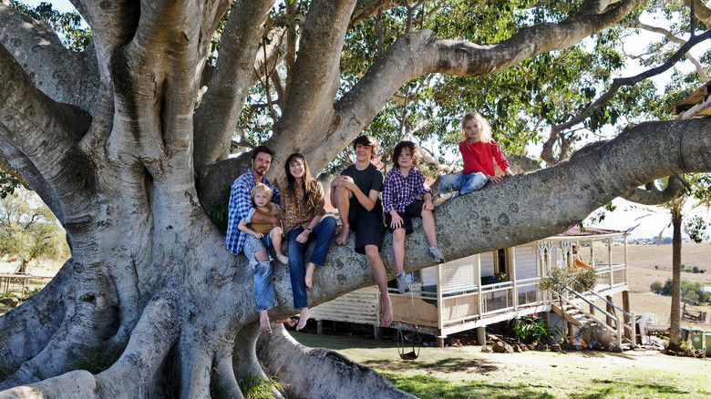 кадр из фильма Дерево