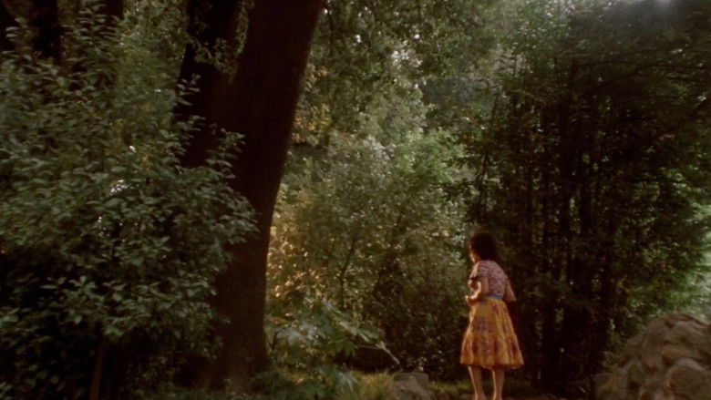 кадр из фильма Место водителя