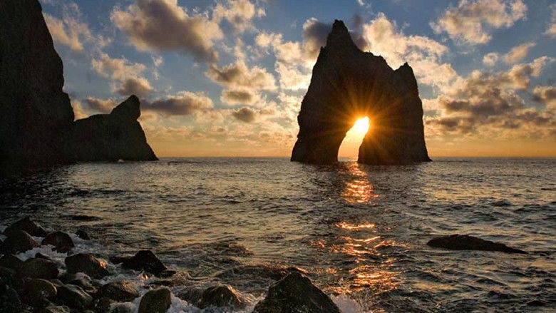 кадр из фильма Коктебельские камешки