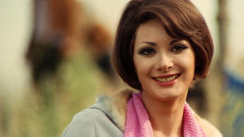 кадр из фильма Глаз чёрного кота