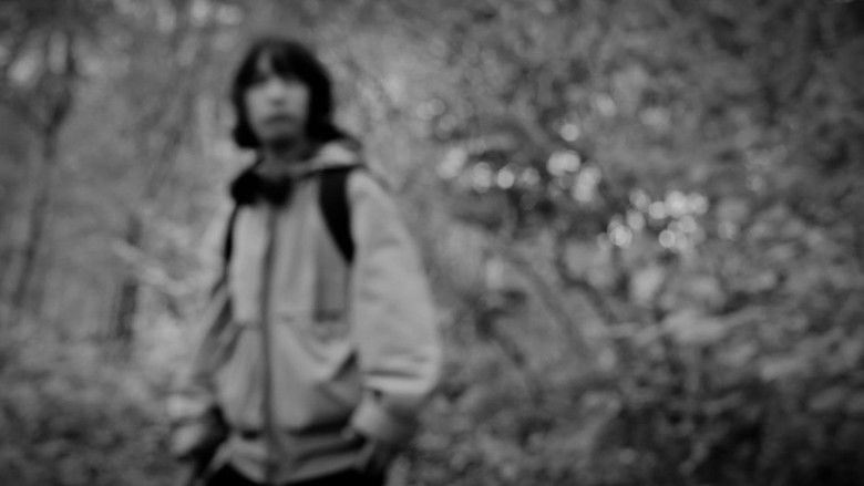 кадр из фильма the forest of great mystery and emptiness