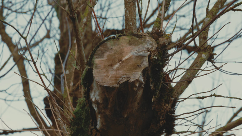 кадр из фильма Eine Leere Leinwand