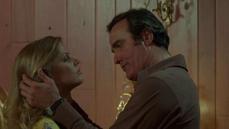 кадр из фильма Каскадёры