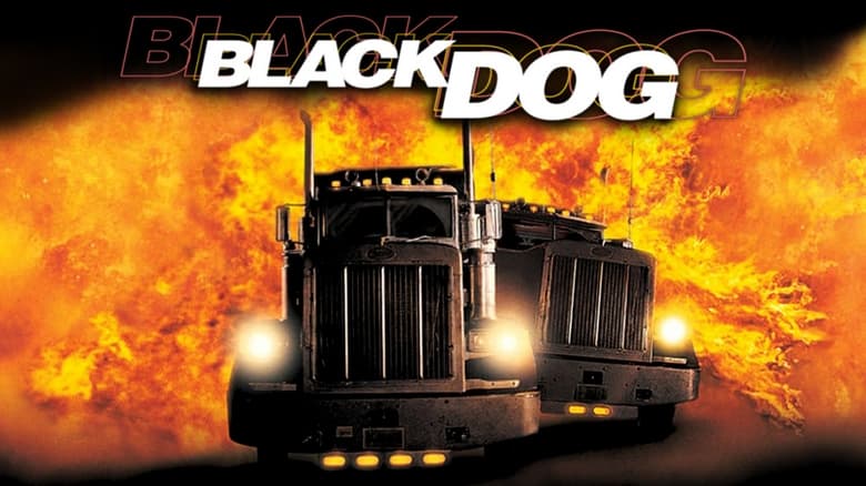 кадр из фильма Чёрный пёс