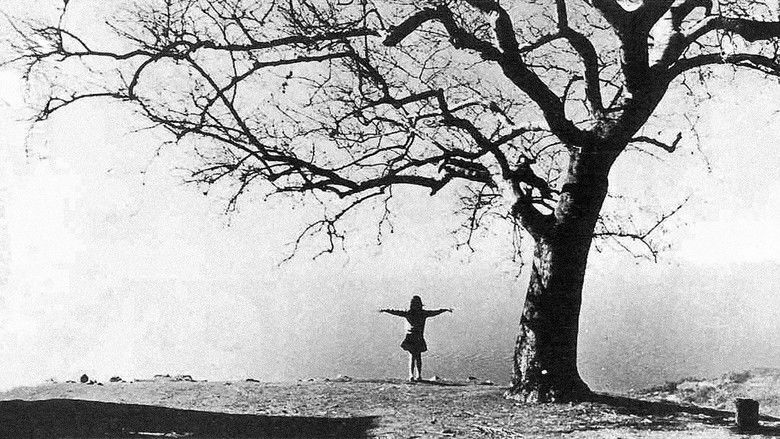 кадр из фильма A Ay