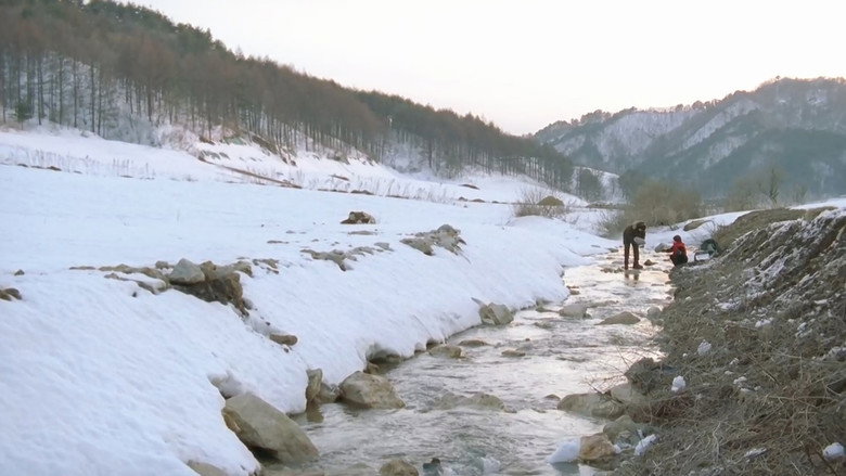 кадр из фильма 봄날은 간다