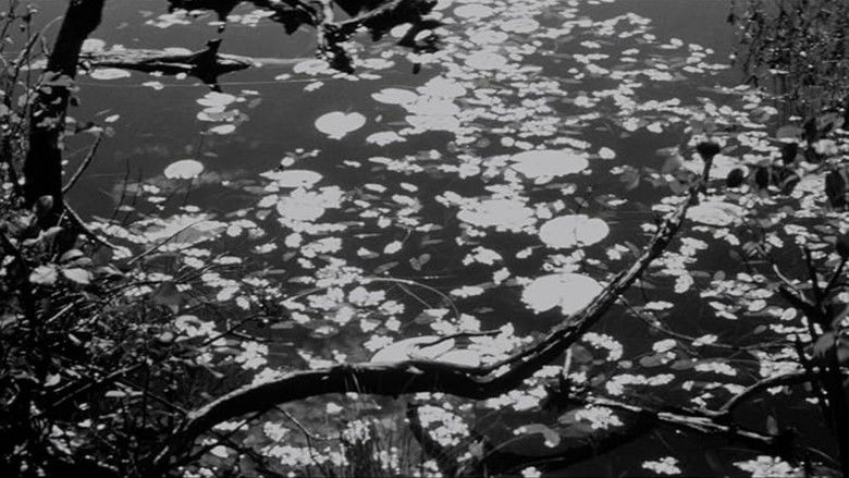 кадр из фильма Мёртвое озеро
