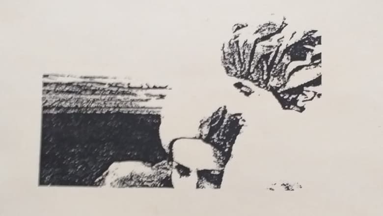 кадр из фильма L'Idea Centrale