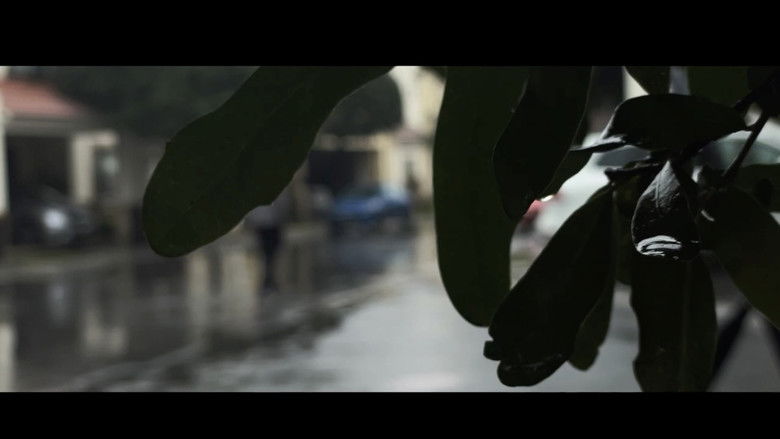 кадр из фильма Un Dia Solitario en Invierno