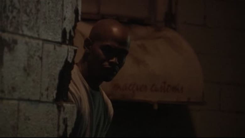 Под перекрестным огнем