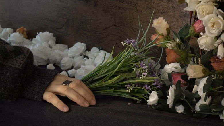 кадр из фильма Meus Sentimentos