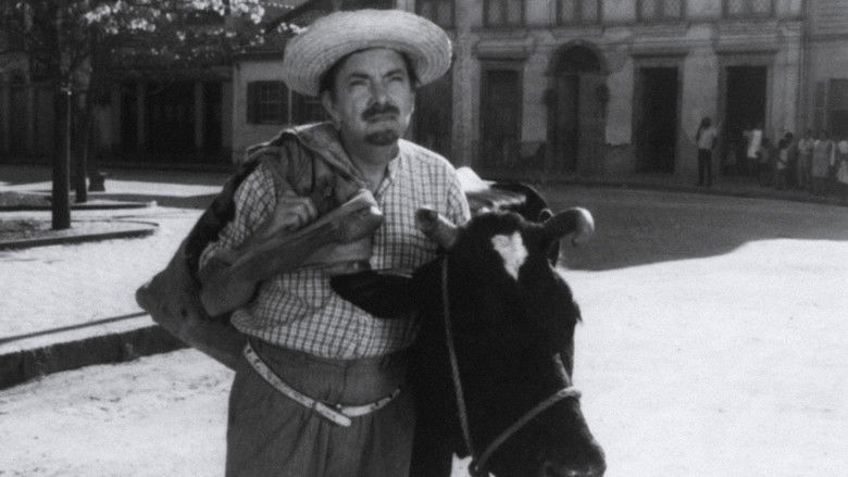 кадр из фильма No Paraíso das Solteironas