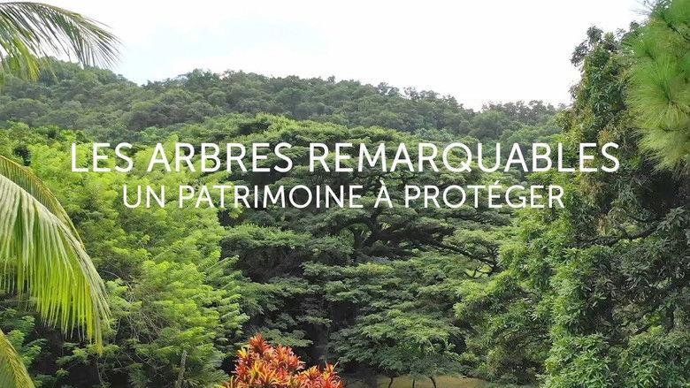 кадр из фильма Les arbres remarquables, un patrimoine à protéger