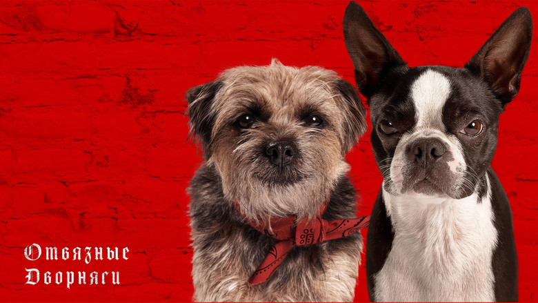 кадр из фильма Отвязные дворняги