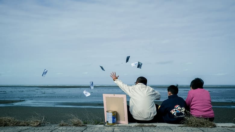 кадр из фильма 釘子花