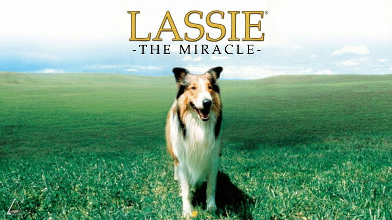 кадр из фильма Lassie: The Miracle