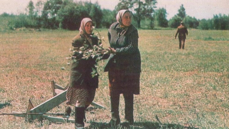 Вдовы