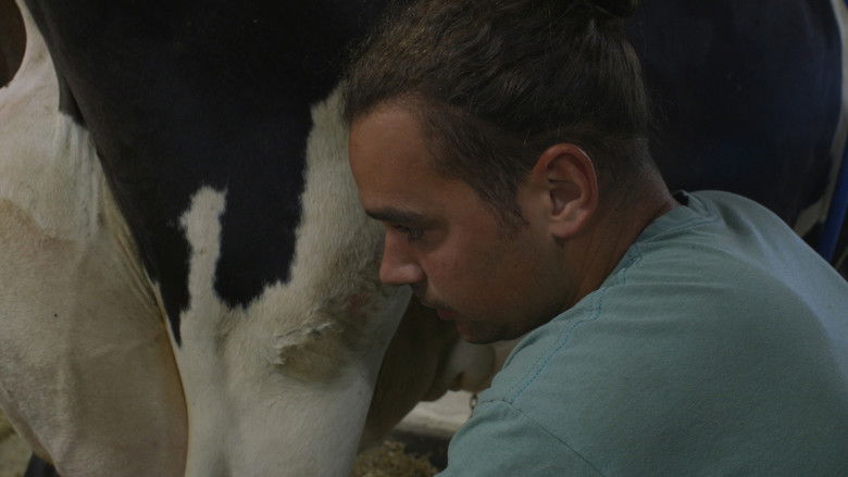 кадр из фильма Ressources