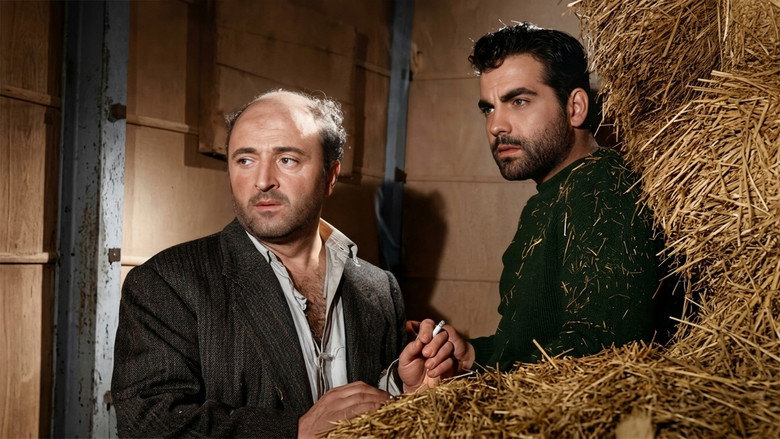 кадр из фильма Katil