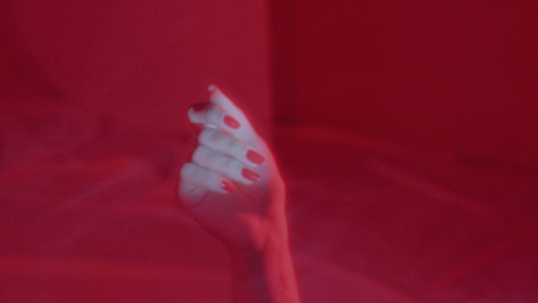 кадр из фильма Mi Jardín