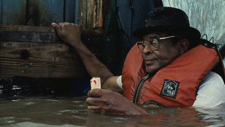 кадр из фильма Звери дикого Юга