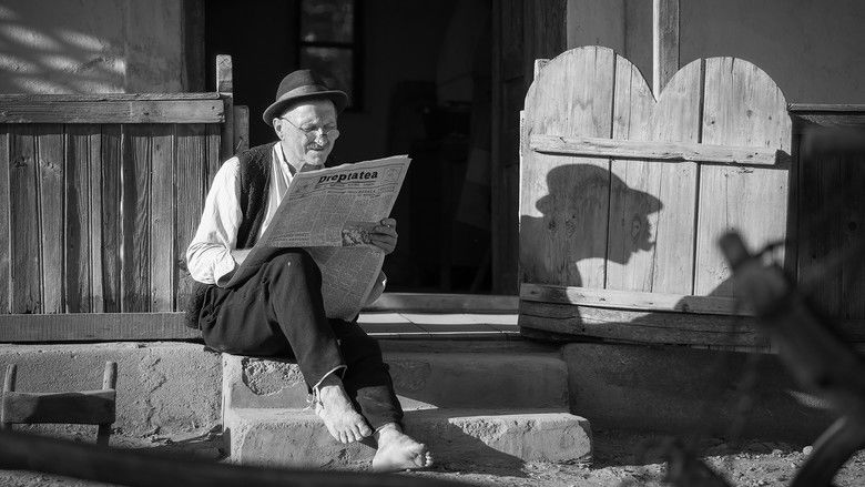 кадр из фильма Moromeţii 2