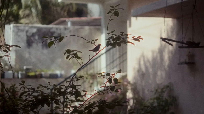 кадр из фильма चार फूल हैं और दुनिया है