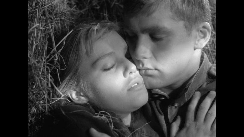 кадр из фильма Баллада о солдате