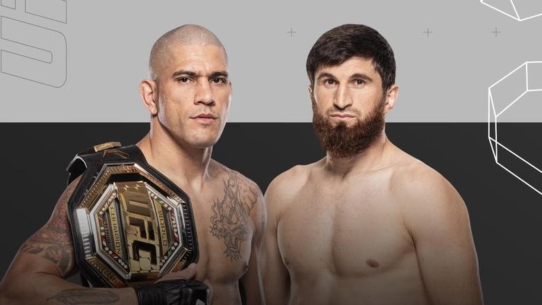 кадр из фильма UFC 313: Перейра vs. Анкалаев