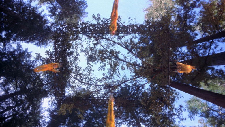 кадр из фильма Цирк дю Солей: Большое путешествие