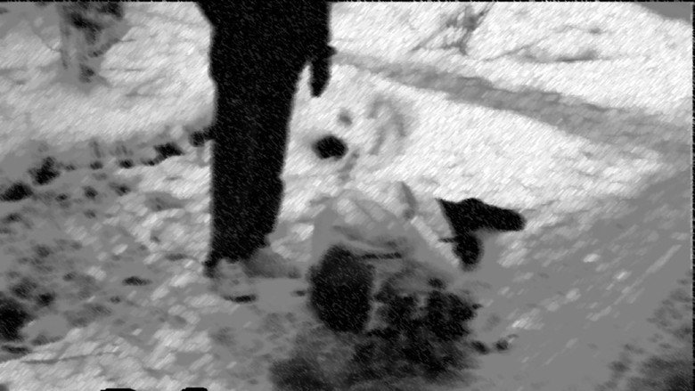 кадр из фильма Человек, который любил цветы