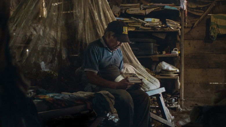 кадр из фильма Apenas el sol