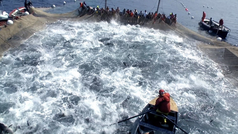 кадр из фильма 슈퍼피쉬 - 끝없는 여정