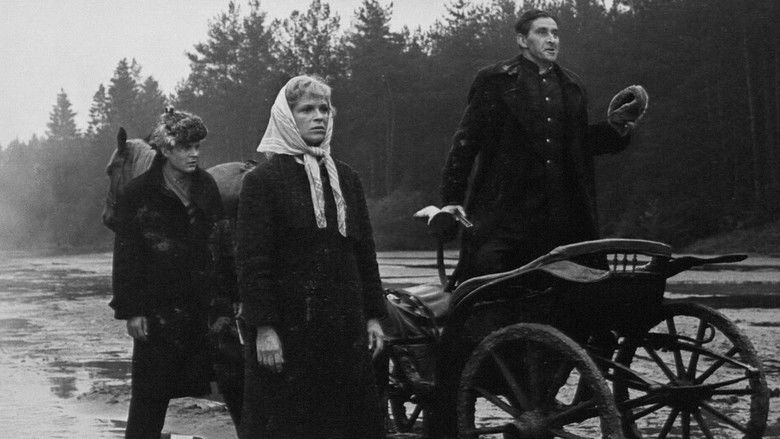 кадр из фильма Лестница в небо