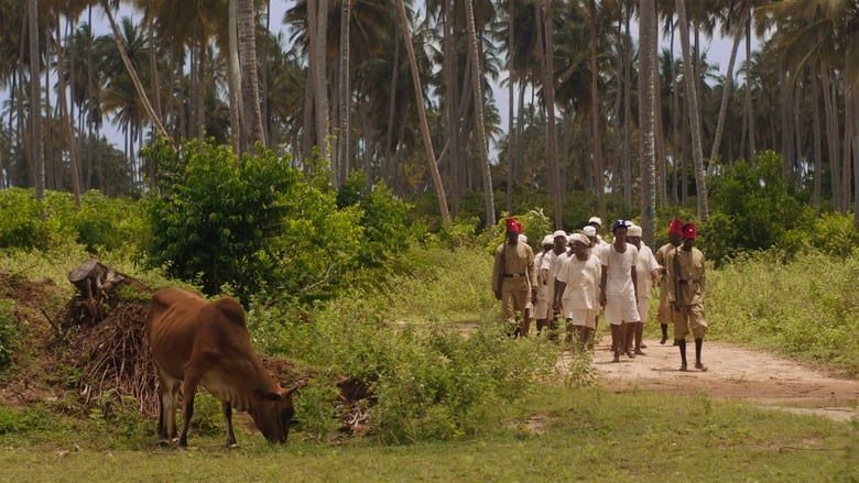 кадр из фильма Vuta N'Kuvute