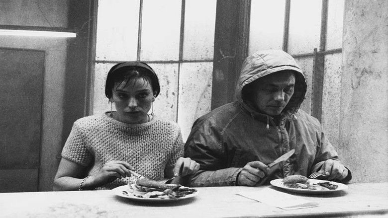 кадр из фильма Eating Out