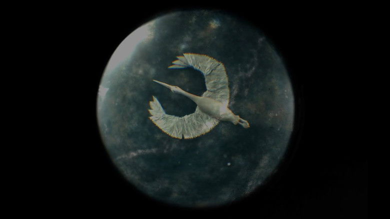 кадр из фильма Juured