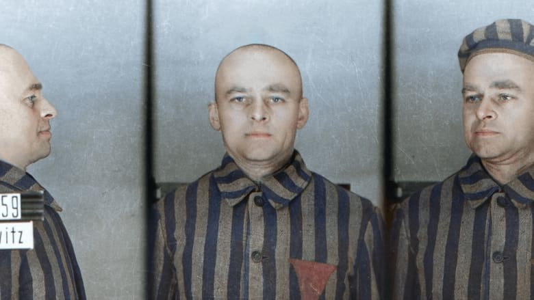 кадр из фильма Infiltré à Auschwitz