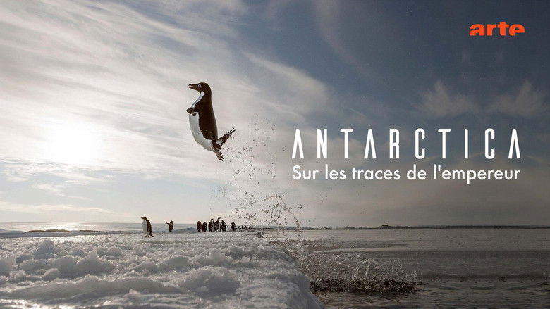 кадр из фильма Antarctica, sur les traces de l'empereur