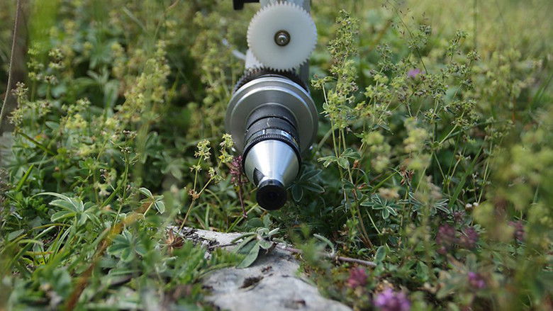 кадр из фильма Attenborough and the Empire of the Ants