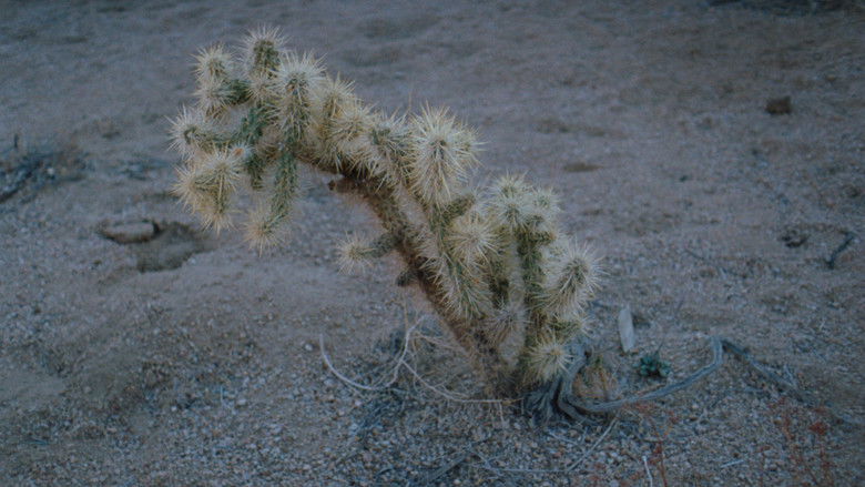 кадр из фильма Van ver staat het stil