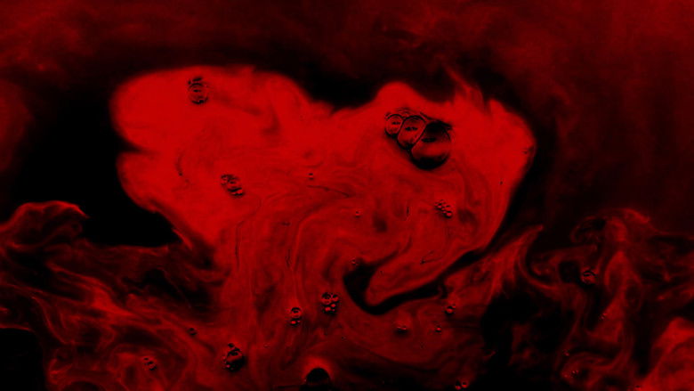 кадр из фильма Do You See Me?