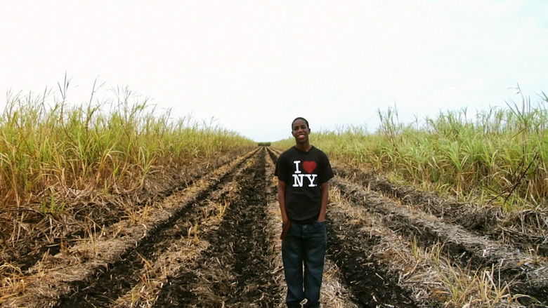 кадр из фильма Фантомные ковбои